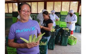 Así avanza el empoderamiento de la mujer cooperativista en Nicaragua