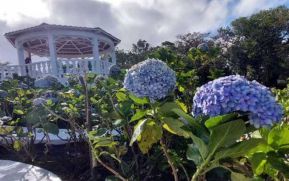 Gobierno de Nicaragua inaugurará Parque Las Mil Flores en El Crucero
