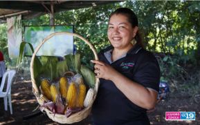 Maíz: Gastronomía, identidad, cultura y carácter del pueblo nicaragüense