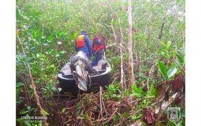 Fuerza Naval informa sobre búsqueda, salvamento y rescate de embarcación tipo panga