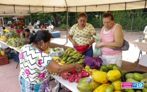 Mefcca celebra feria Productiva Familiar y Mercadito Campesino en Managua
