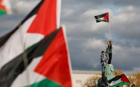 Por Paz en Palestina y la Región