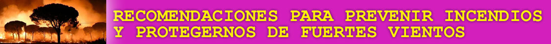 Recomendaciones