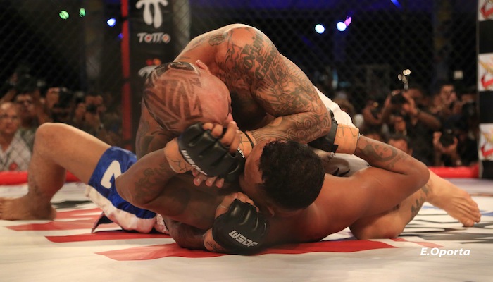 Mayorga VS. Level