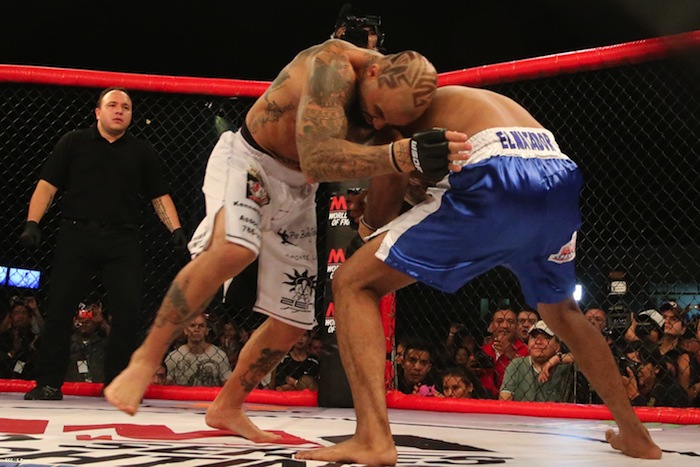 Mayorga VS. Level