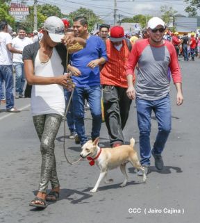 Procesión de Santo Domingo de Guzmán