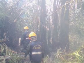 EN FOTOS: Ejército de Nicaragua trabaja para sofocar incendio en Indio Maíz