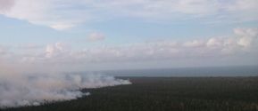 EN FOTOS: Ejército de Nicaragua trabaja para sofocar incendio en Indio Maíz
