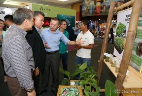 Expo Taiwán 2019