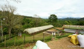 Presentan Estrategia Nacional para el Desarrollo de la Caficultura