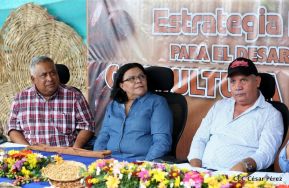 Presentan Estrategia Nacional para el Desarrollo de la Caficultura