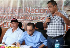 Presentan Estrategia Nacional para el Desarrollo de la Caficultura