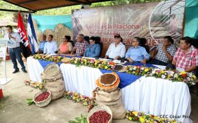 Presentan Estrategia Nacional para el Desarrollo de la Caficultura
