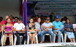 Presentan Estrategia Nacional para el Desarrollo de la Caficultura