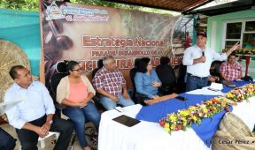 Presentan Estrategia Nacional para el Desarrollo de la Caficultura