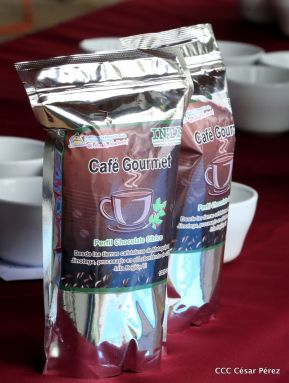 Presentan Estrategia Nacional para el Desarrollo de la Caficultura
