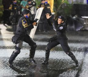 Desfile policial Centinelas de la Paz por el 42 aniversario de la Policía Nacional