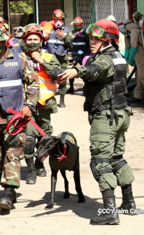 IV Ejercicio de Preparación para Protección de la vida