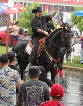 Espectacular desfile hípico por las calles de Managua