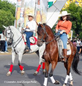 Desfile Hípico Managua 2026