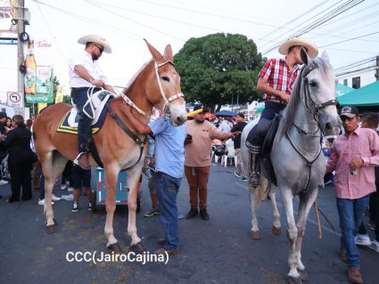 Desfile Hípico Managua 2026