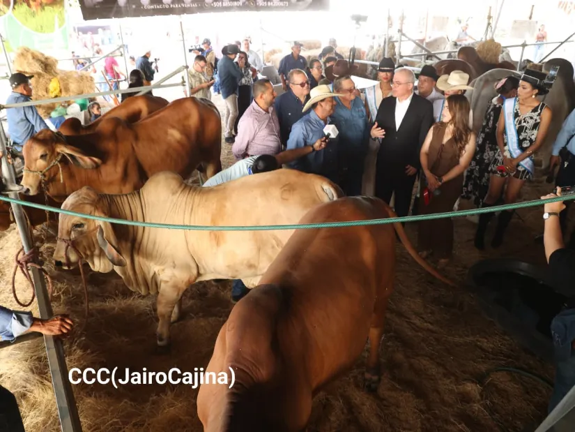 Feria Ganadera Agostina Internacional Managua 2026