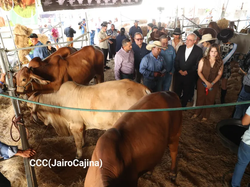 Feria Ganadera Agostina Internacional Managua 2026