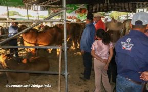 Feria Ganadera Agostina Internacional Managua 2026