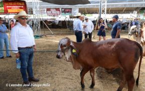 Feria Ganadera Agostina Internacional Managua 2026