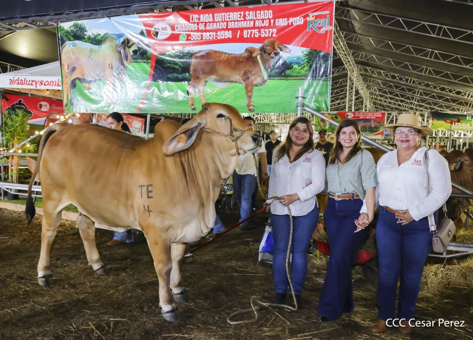 Feria Ganadera Agostina Internacional Managua 2026