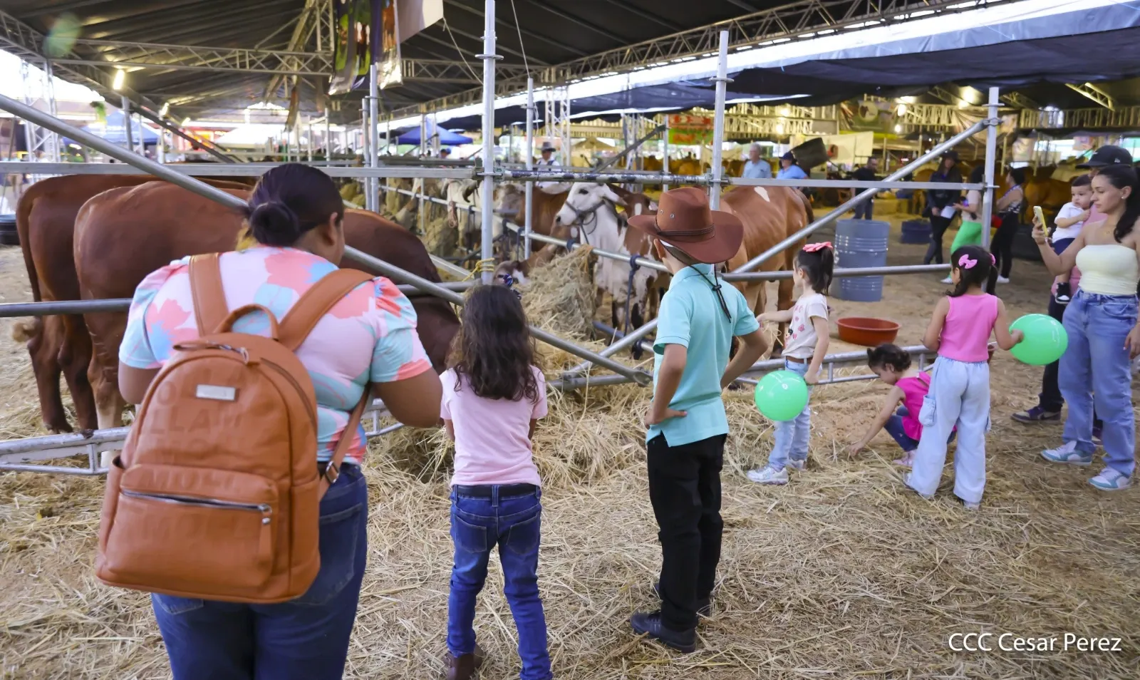 Feria Ganadera Agostina Internacional Managua 2026
