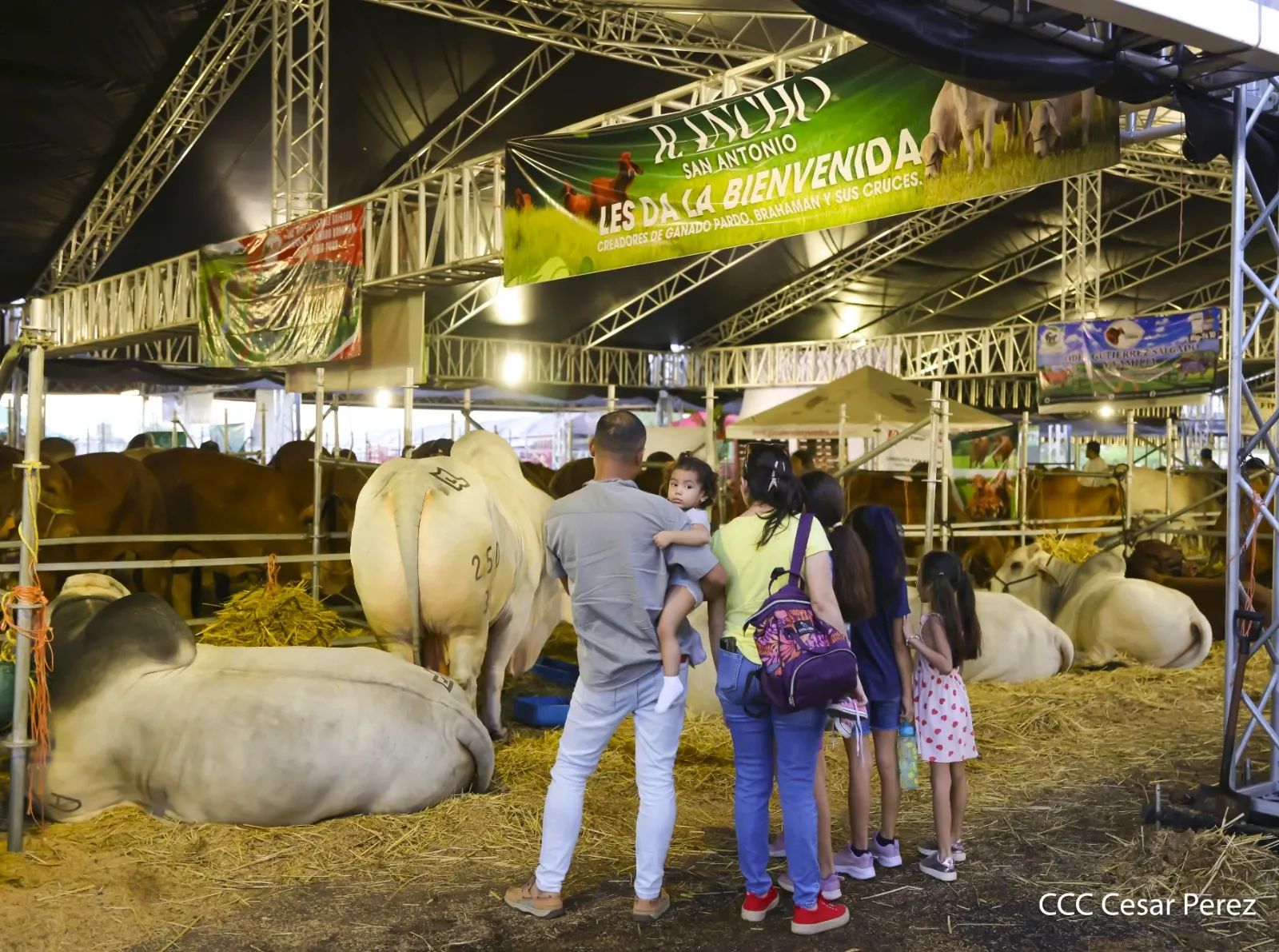 Feria Ganadera Agostina Internacional Managua 2026