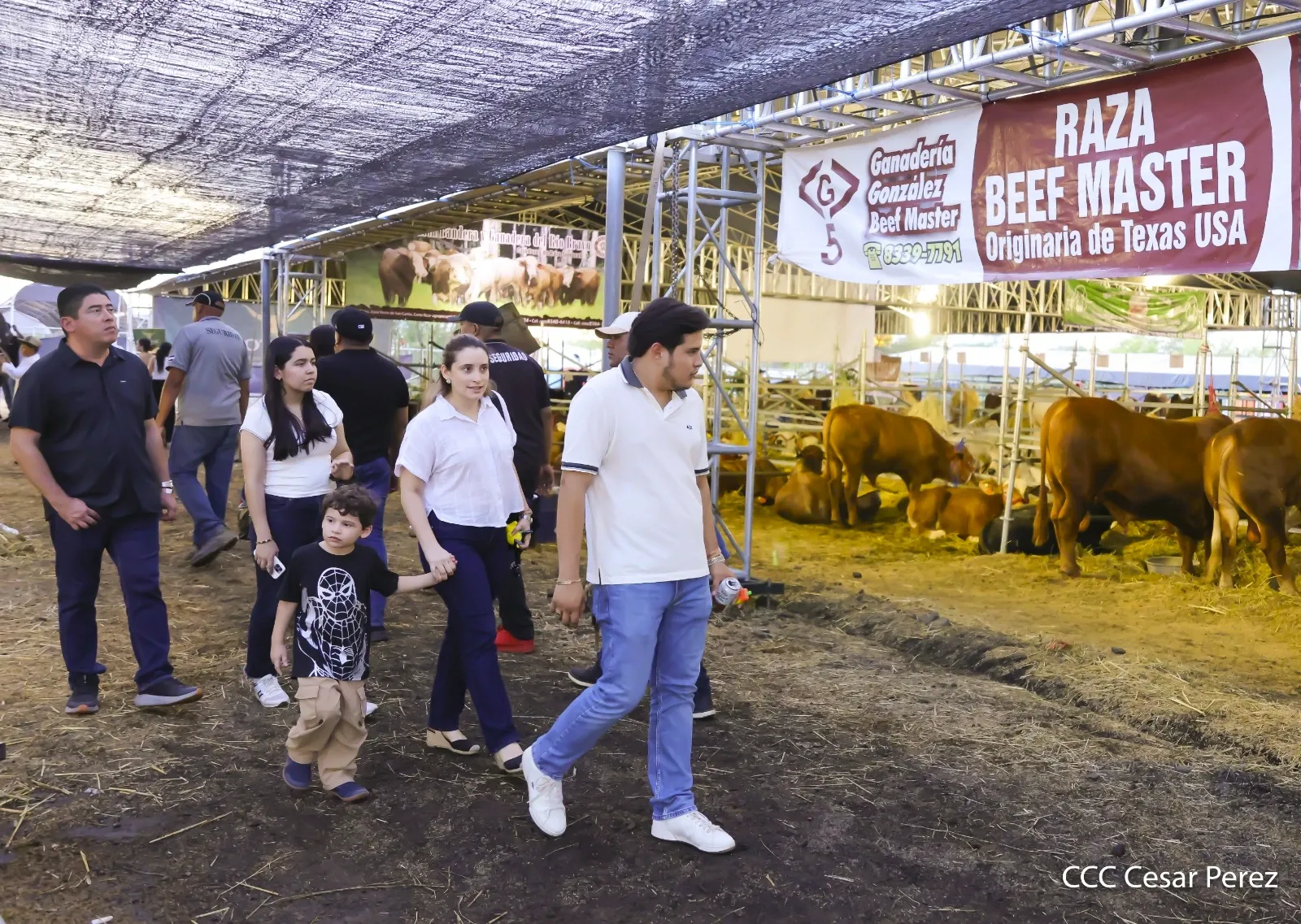 Feria Ganadera Agostina Internacional Managua 2026