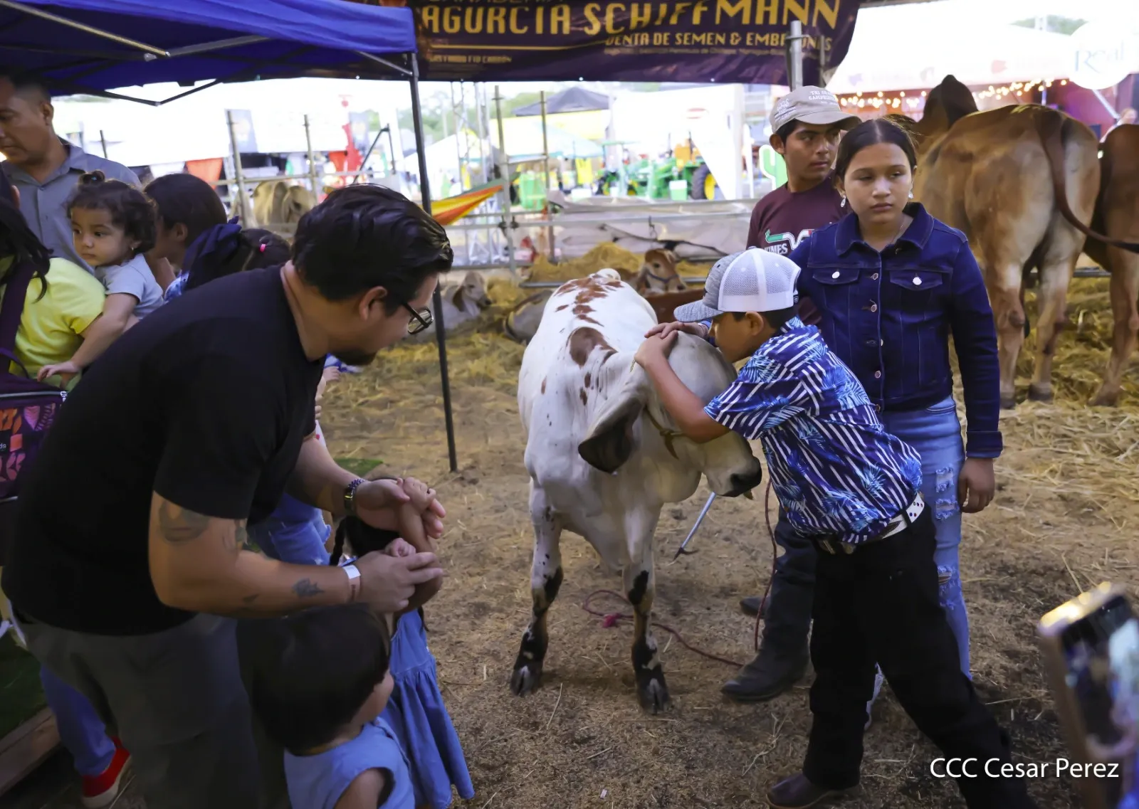 Feria Ganadera Agostina Internacional Managua 2026