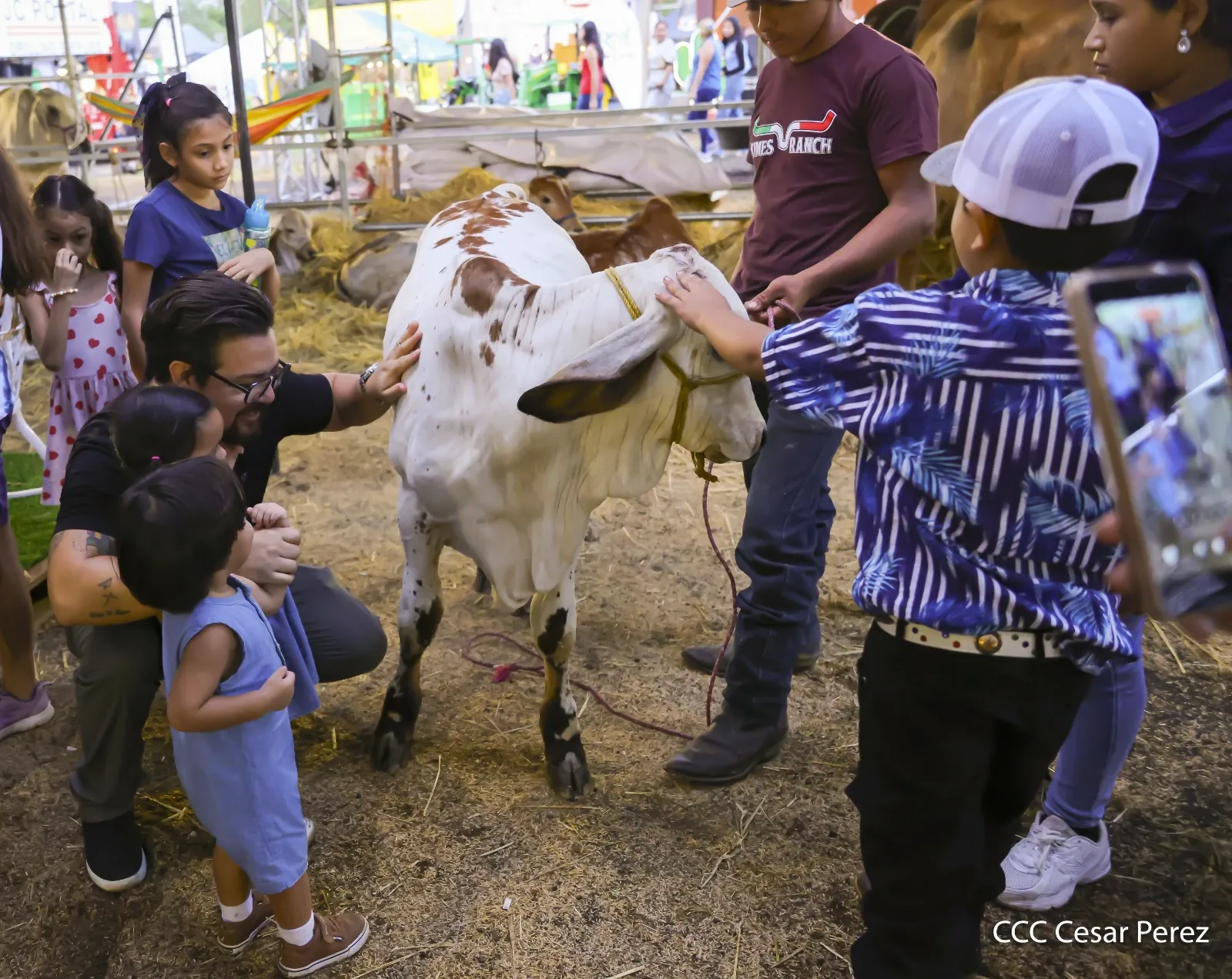 Feria Ganadera Agostina Internacional Managua 2026