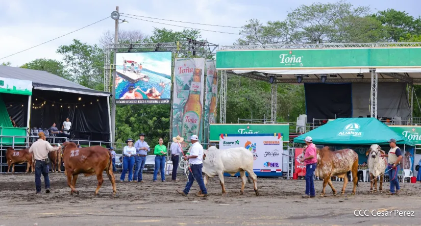 Feria Ganadera Agostina Internacional Managua 2026
