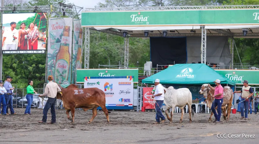 Feria Ganadera Agostina Internacional Managua 2026