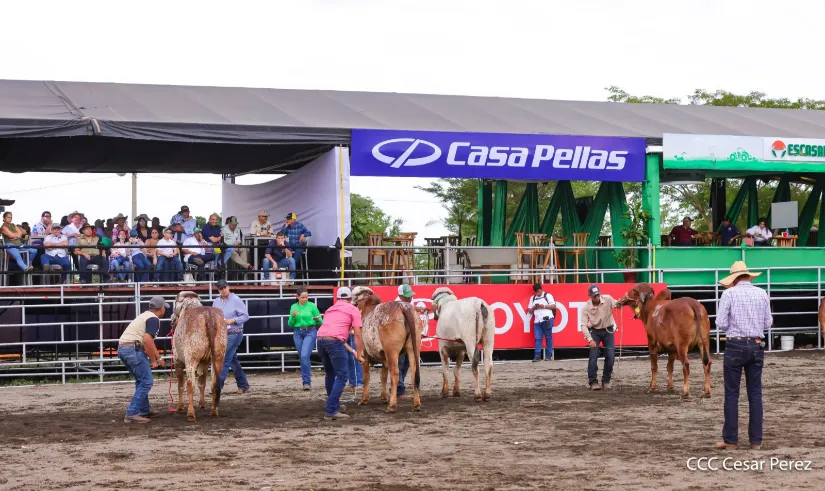 Feria Ganadera Agostina Internacional Managua 2026