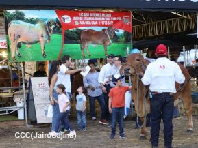 Feria Ganadera Agostina Internacional Managua 2026