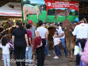 Feria Ganadera Agostina Internacional Managua 2026