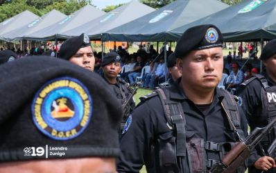 Plan de Protección y Seguridad de la Cosecha Cafetalera 2026-2027
