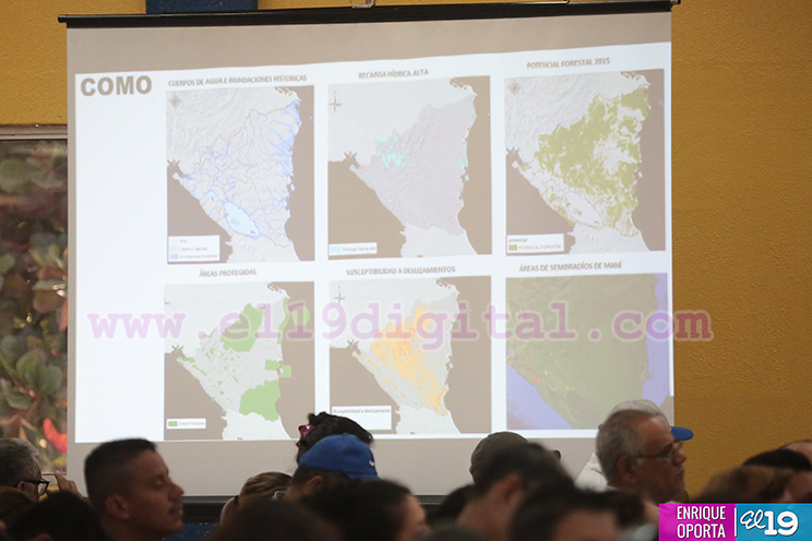 Jornada Nacional de Reforestaci&oacute;n y Regeneraci&oacute;n Natural