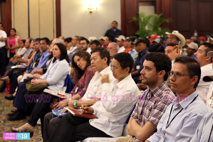 Congreso Internacional Desafíos y Oportunidades de la Ganadería para el Aumento de la productividad
