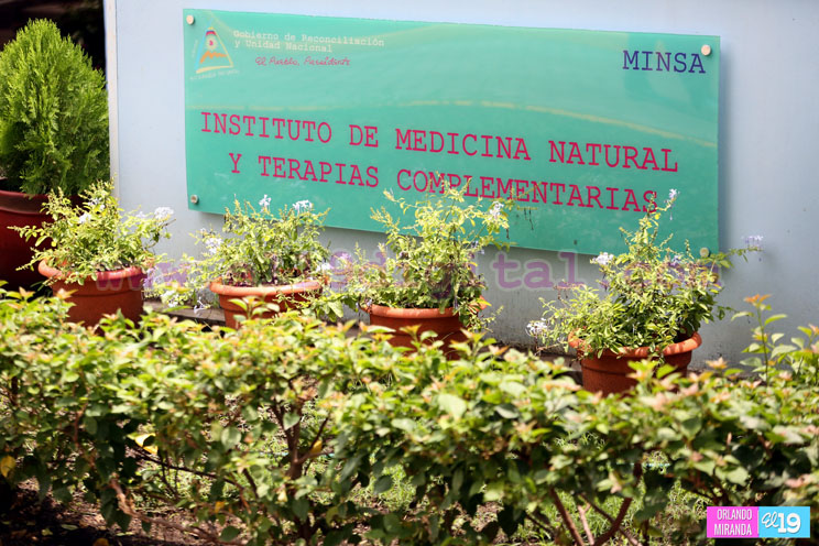 V Diplomado en Fitoterapia Clínica
