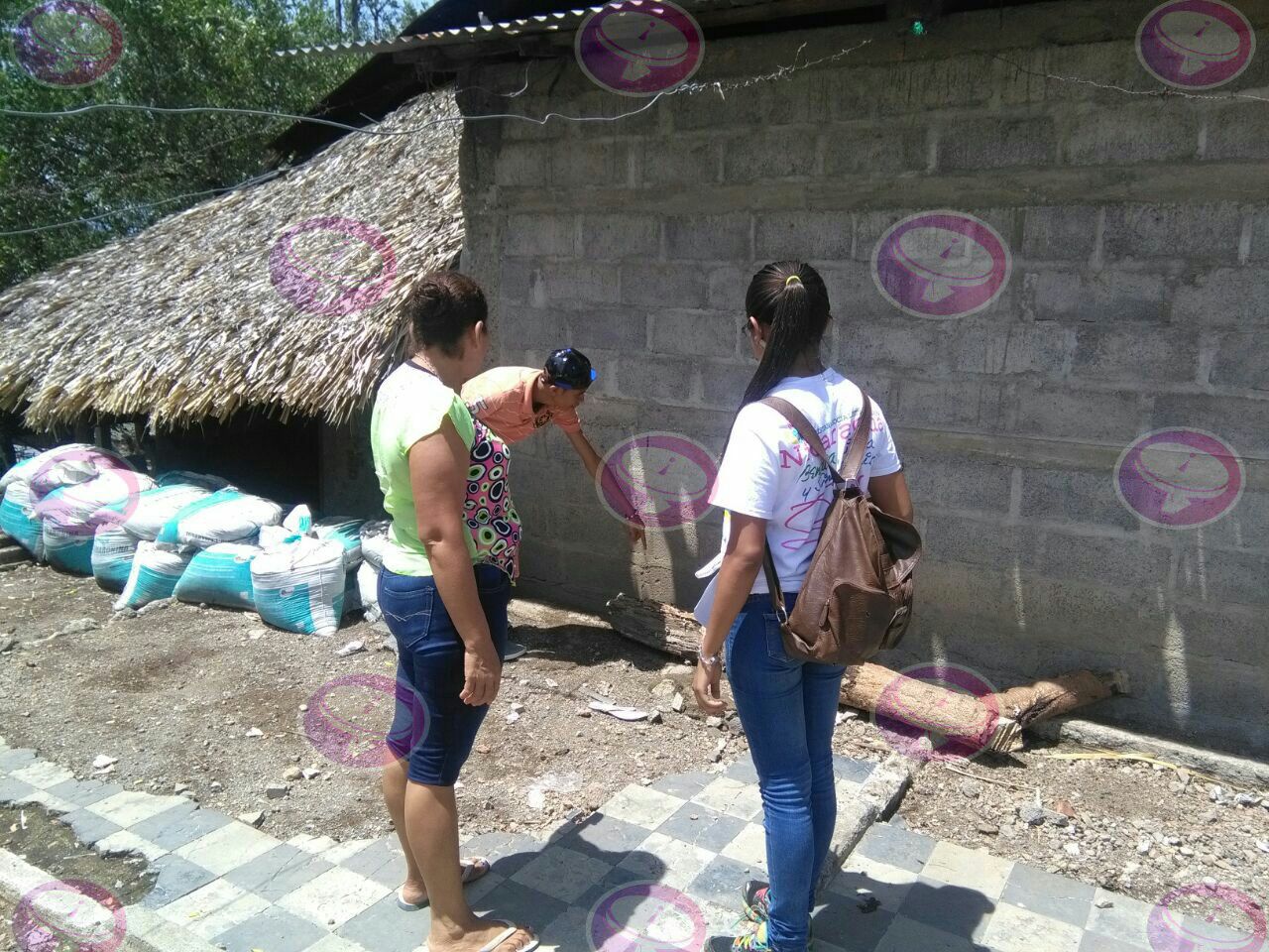 Promotoría Solidaria
