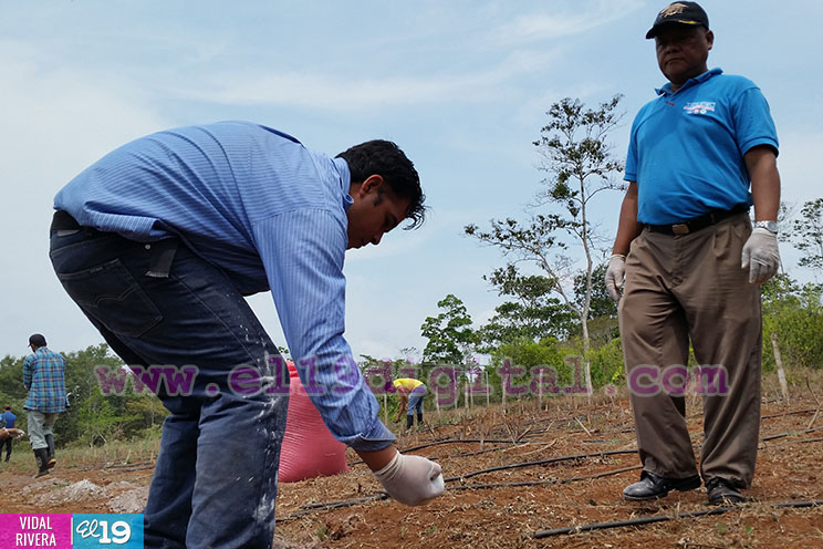 Llevando Educación Técnica a jóvenes de Nueva Guinea