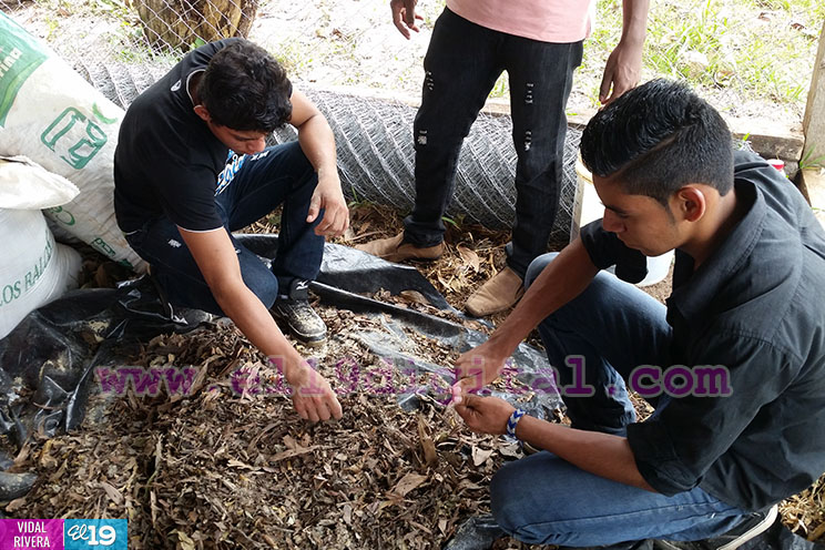 Llevando Educación Técnica a jóvenes de Nueva Guinea