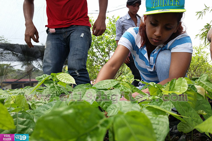 Llevando Educación Técnica a jóvenes de Nueva Guinea
