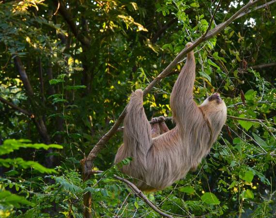 Nicaragua, país amigable para el turismo familiar