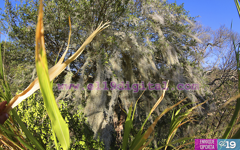 Finca Ecológica